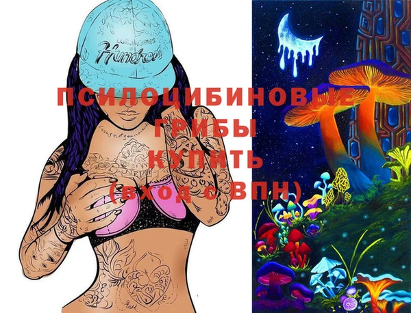 молекула духа Новодвинск