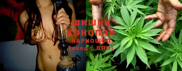 молекула духа Новодвинск