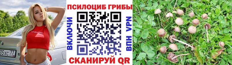 ОМГ ОМГ tor  где купить   Бодайбо  Галлюциногенные грибы мухоморы 